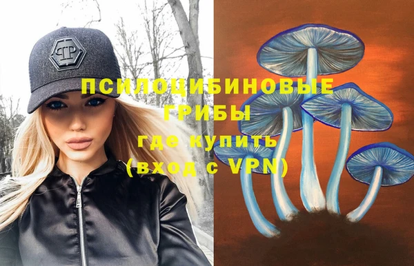 синтетический гашиш Алексеевка