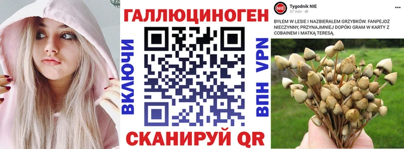 купить наркотик  Мантурово  Псилоцибиновые грибы Psilocybine cubensis 